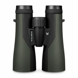 Optik