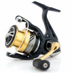 Shimano Nasci FB